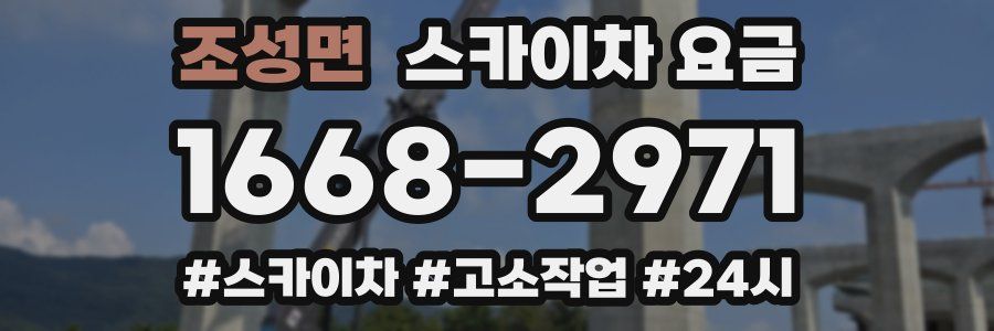 조성면 스카이차 요금