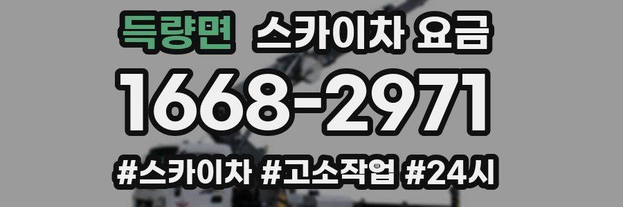 득량면 스카이차 요금