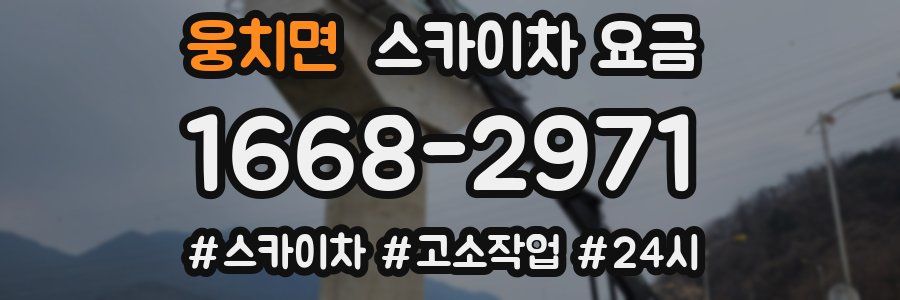 웅치면 스카이차 요금