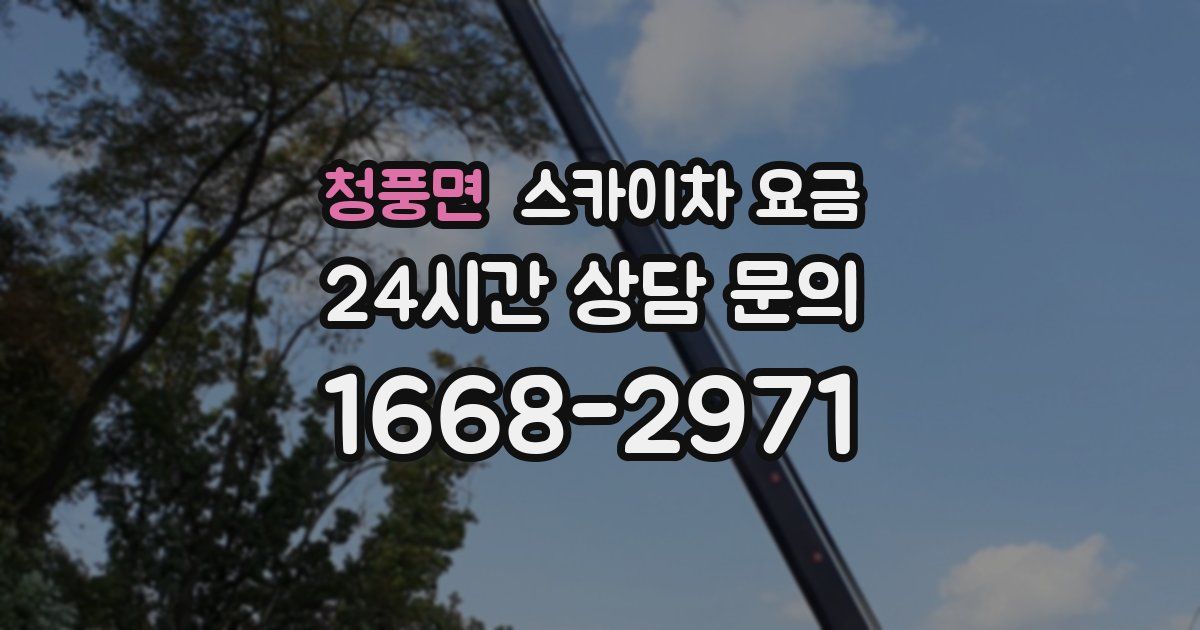 청풍면 스카이차 요금