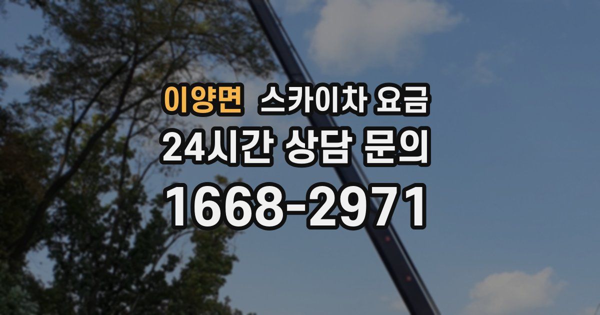 이양면 스카이차 요금