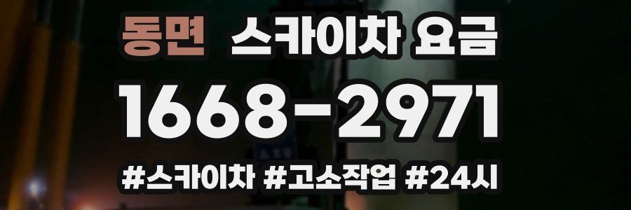 동면 스카이차 요금