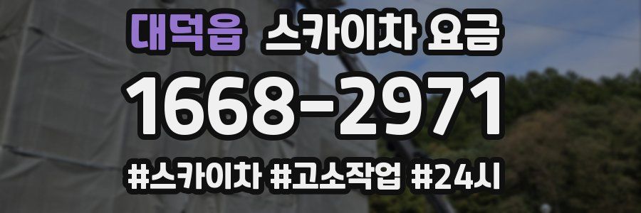 대덕읍 스카이차 요금