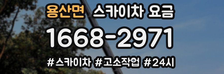 용산면 스카이차 요금