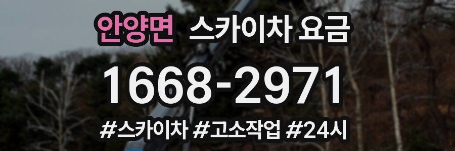 안양면 스카이차 요금