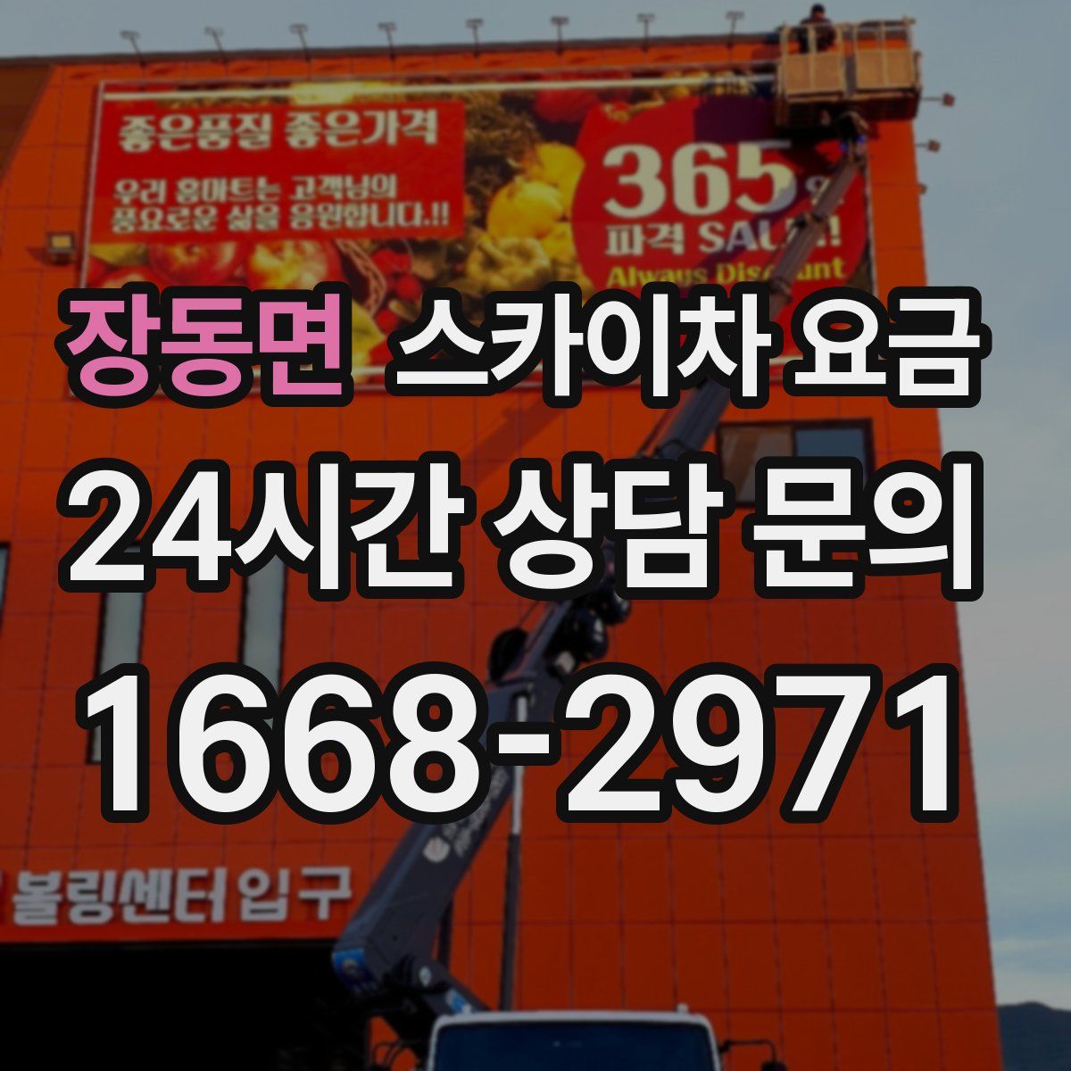 장동면 스카이차 요금