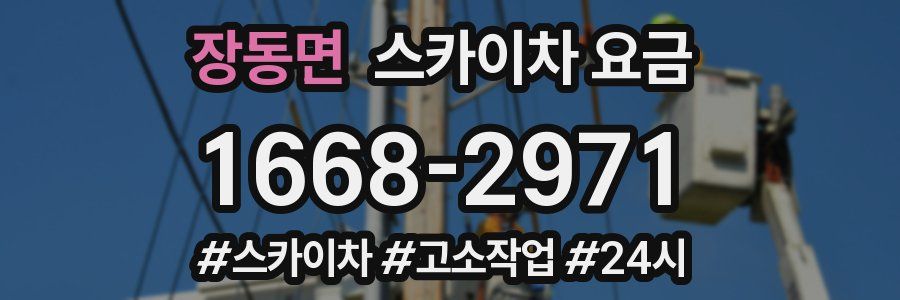 장동면 스카이차 요금
