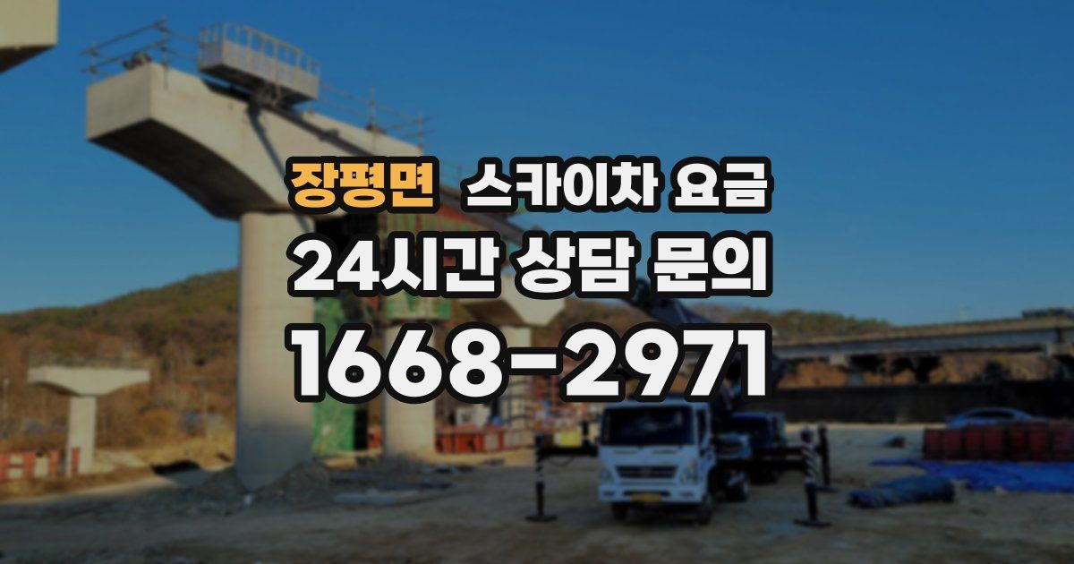 장평면 스카이차 요금