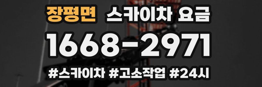 장평면 스카이차 요금