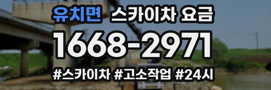 유치면 스카이차 요금