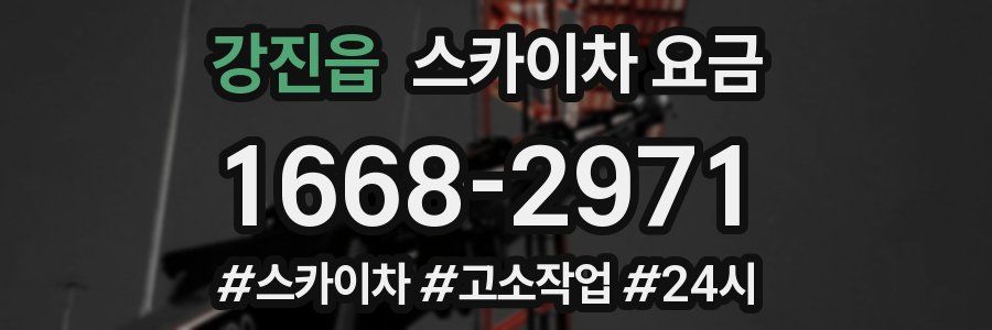 강진읍 스카이차 요금