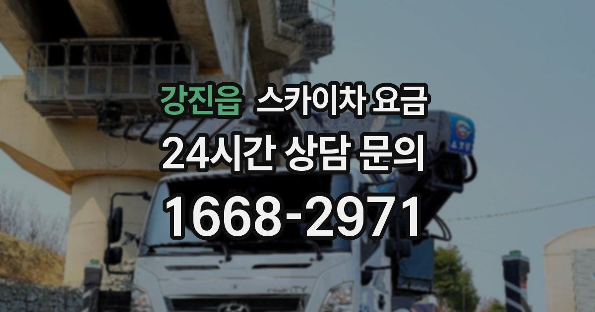 강진읍 스카이차 요금