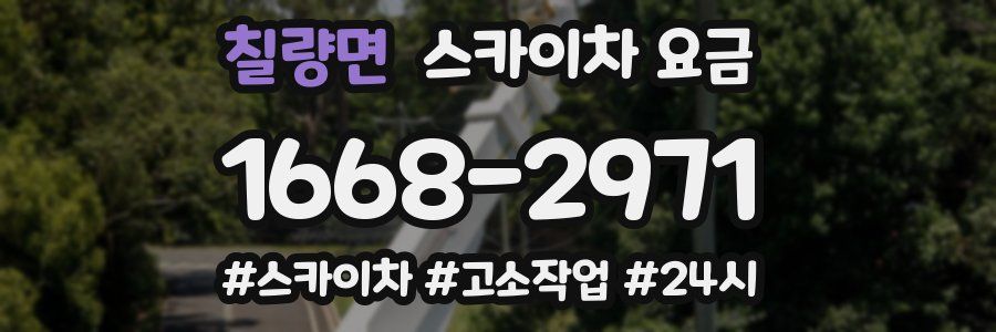 칠량면 스카이차 요금