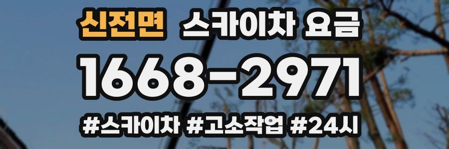 신전면 스카이차 요금