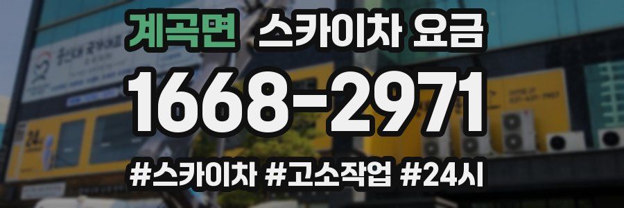 계곡면 스카이차 요금