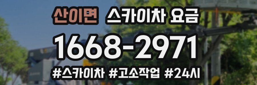 산이면 스카이차 요금