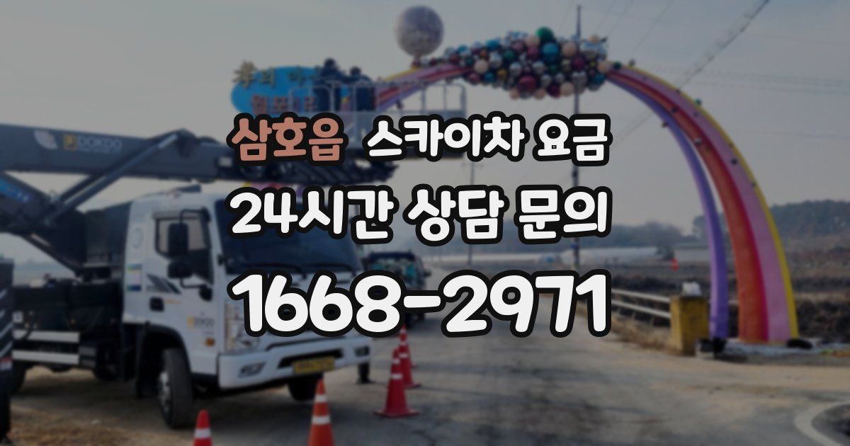 삼호읍 스카이차 요금