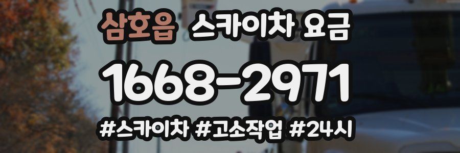 삼호읍 스카이차 요금