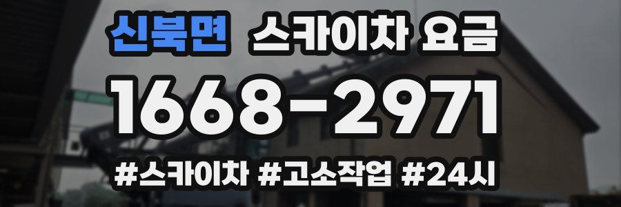 신북면 스카이차 요금