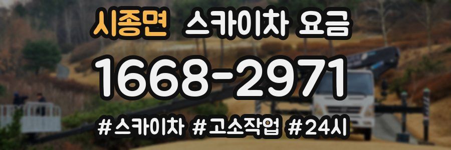 시종면 스카이차 요금