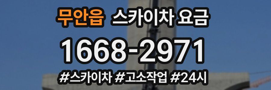 무안읍 스카이차 요금