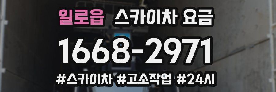 일로읍 스카이차 요금