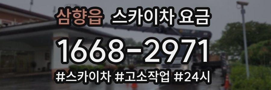 삼향읍 스카이차 요금