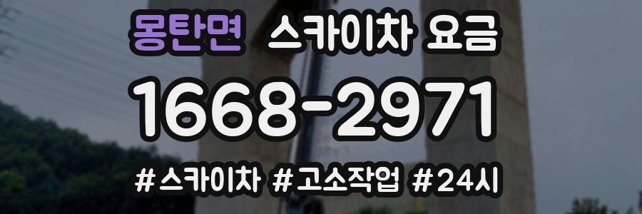 몽탄면 스카이차 요금