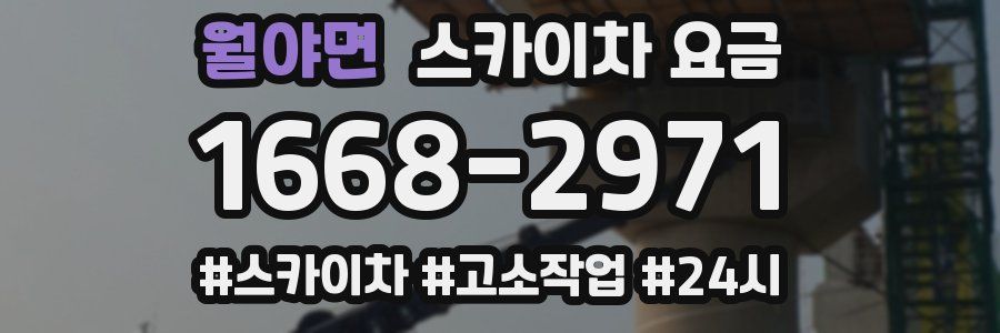 월야면 스카이차 요금