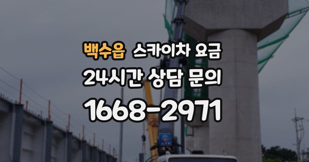 백수읍 스카이차 요금