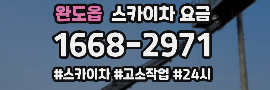 완도읍 스카이차 요금