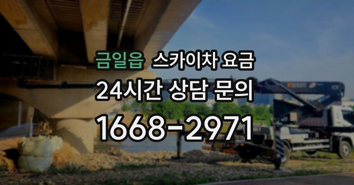 금일읍 스카이차 요금