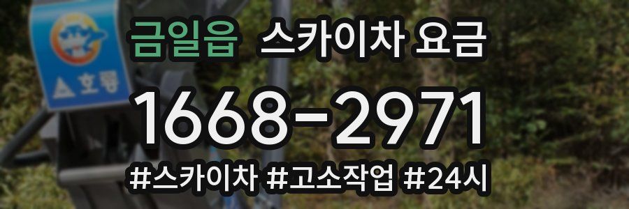 금일읍 스카이차 요금