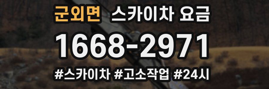 군외면 스카이차 요금