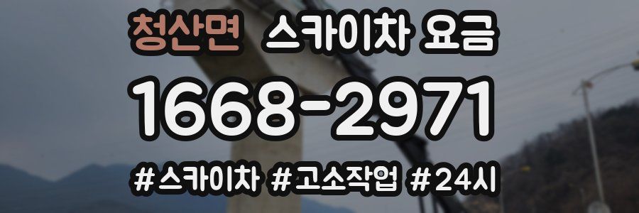 청산면 스카이차 요금