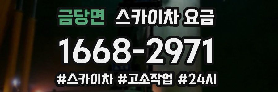 금당면 스카이차 요금