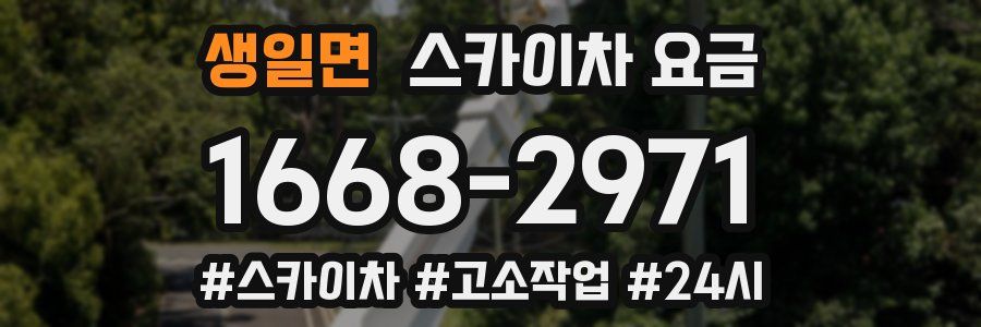 생일면 스카이차 요금