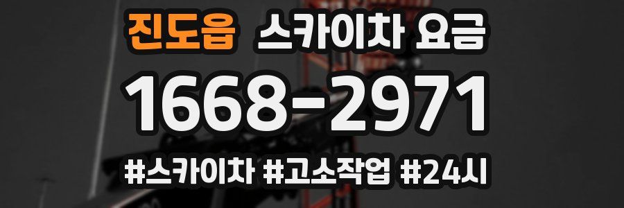 진도읍 스카이차 요금