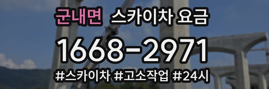 군내면 스카이차 요금