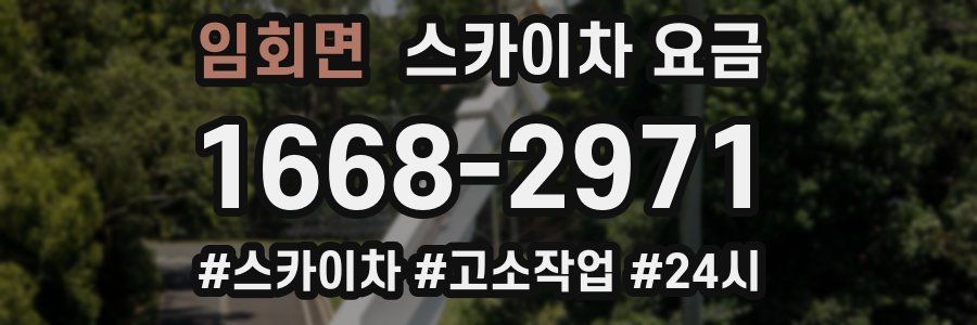 임회면 스카이차 요금