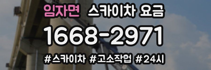 임자면 스카이차 요금