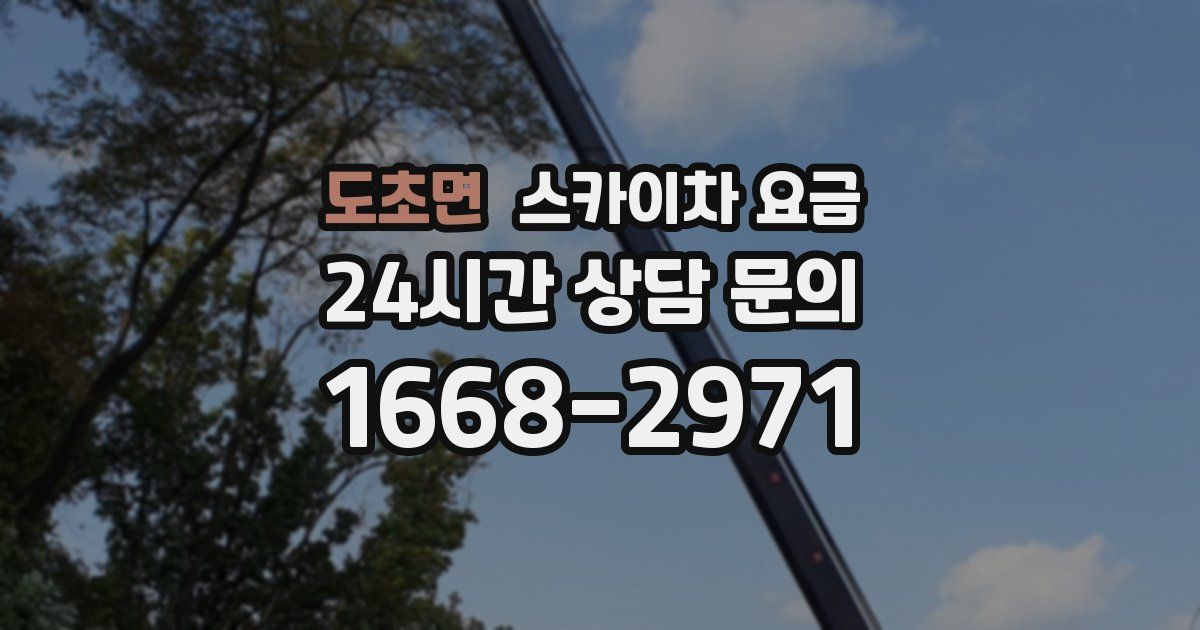 도초면 스카이차 요금