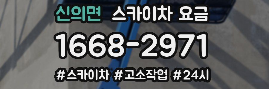 신의면 스카이차 요금