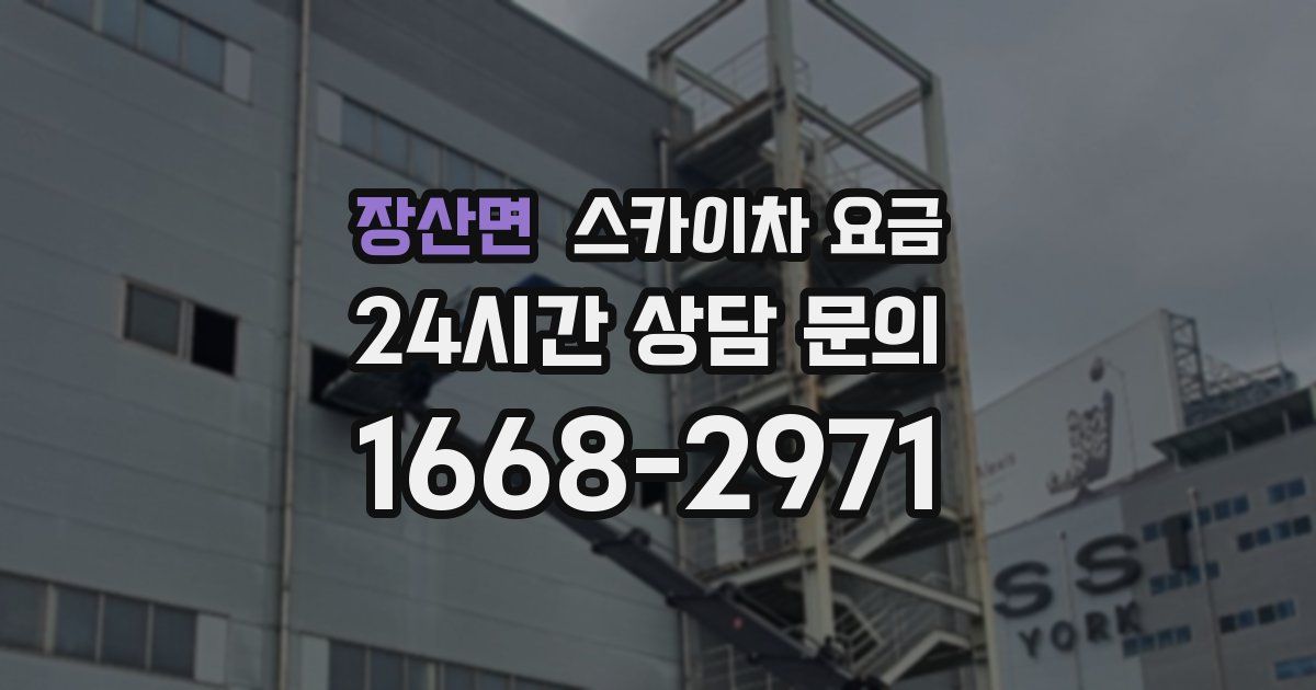 장산면 스카이차 요금