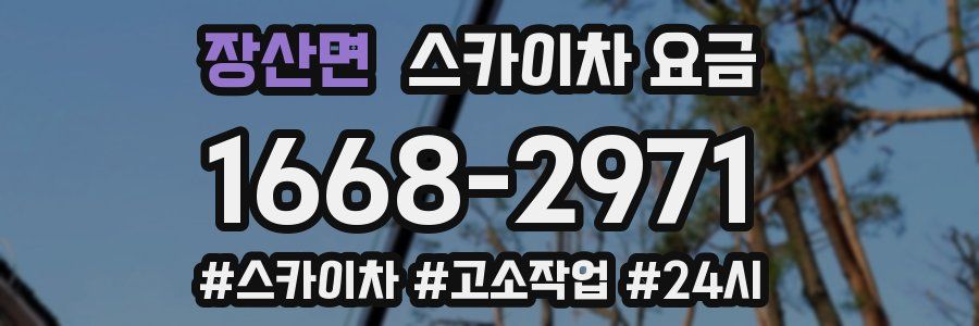 장산면 스카이차 요금