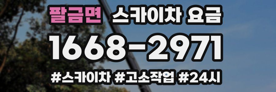 팔금면 스카이차 요금