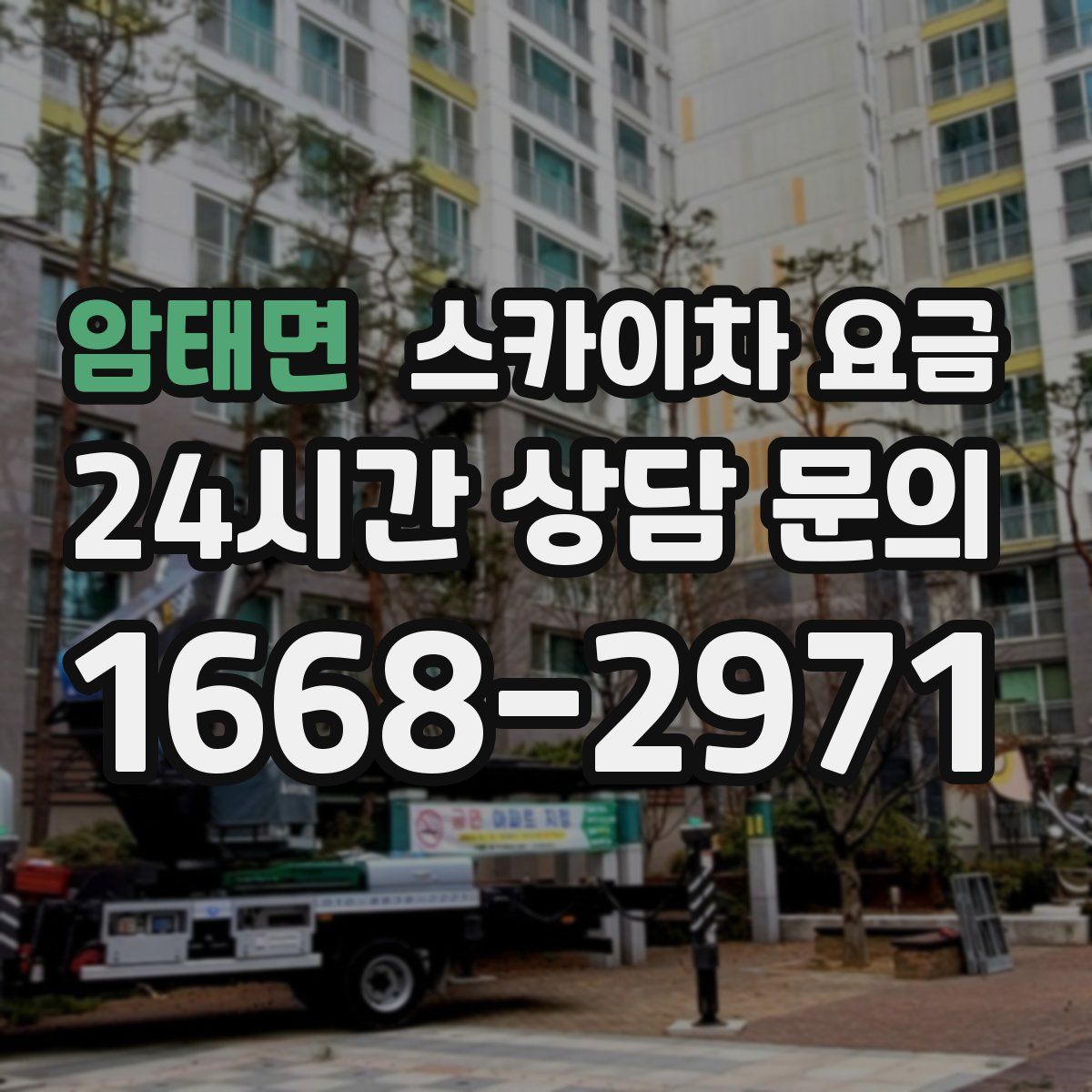 암태면 스카이차 요금