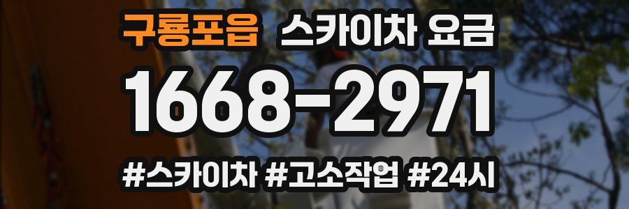 구룡포읍 스카이차 요금