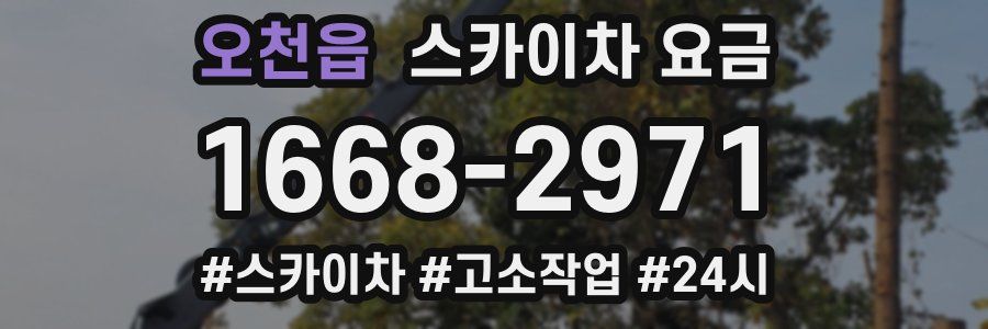 오천읍 스카이차 요금