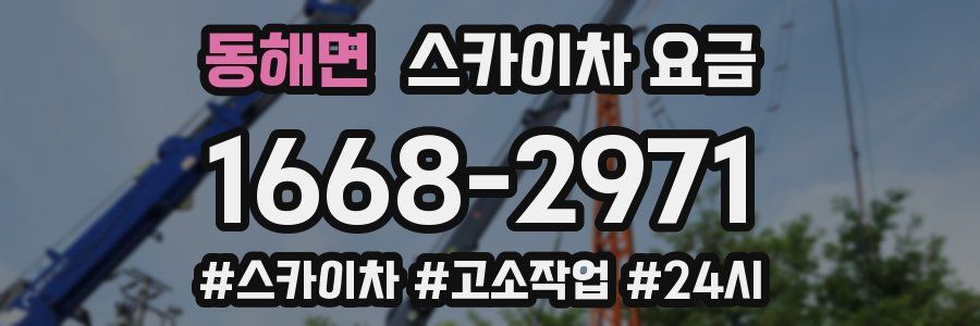 동해면 스카이차 요금